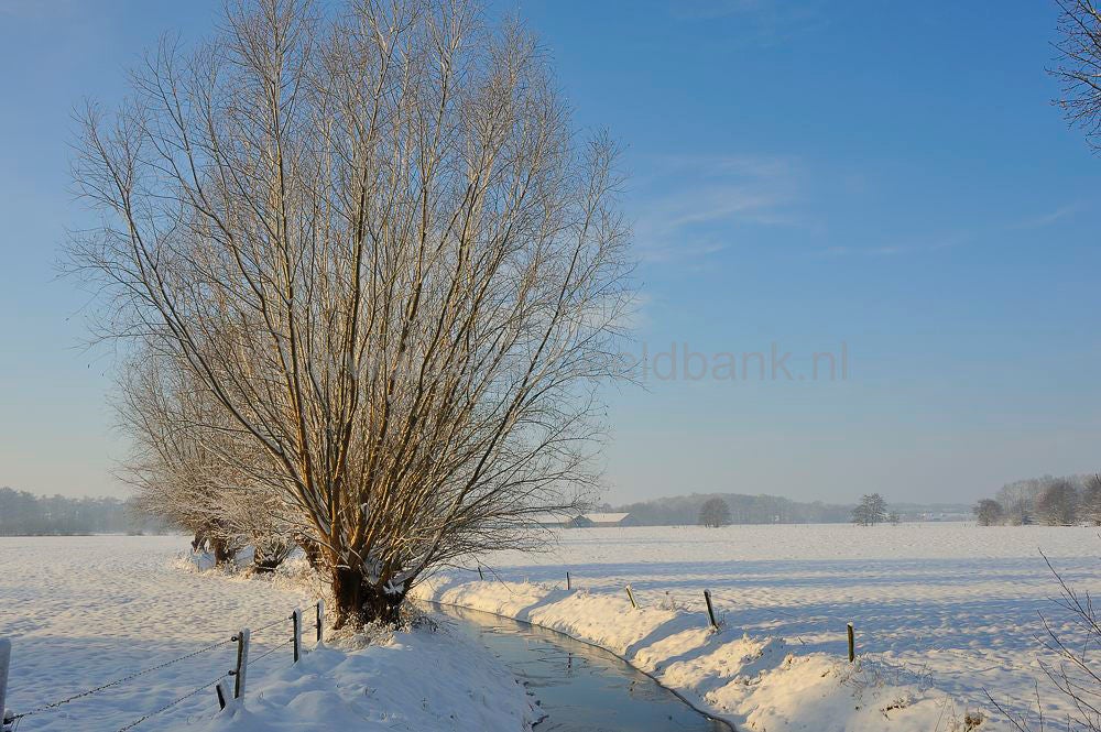 moorst__022.jpg