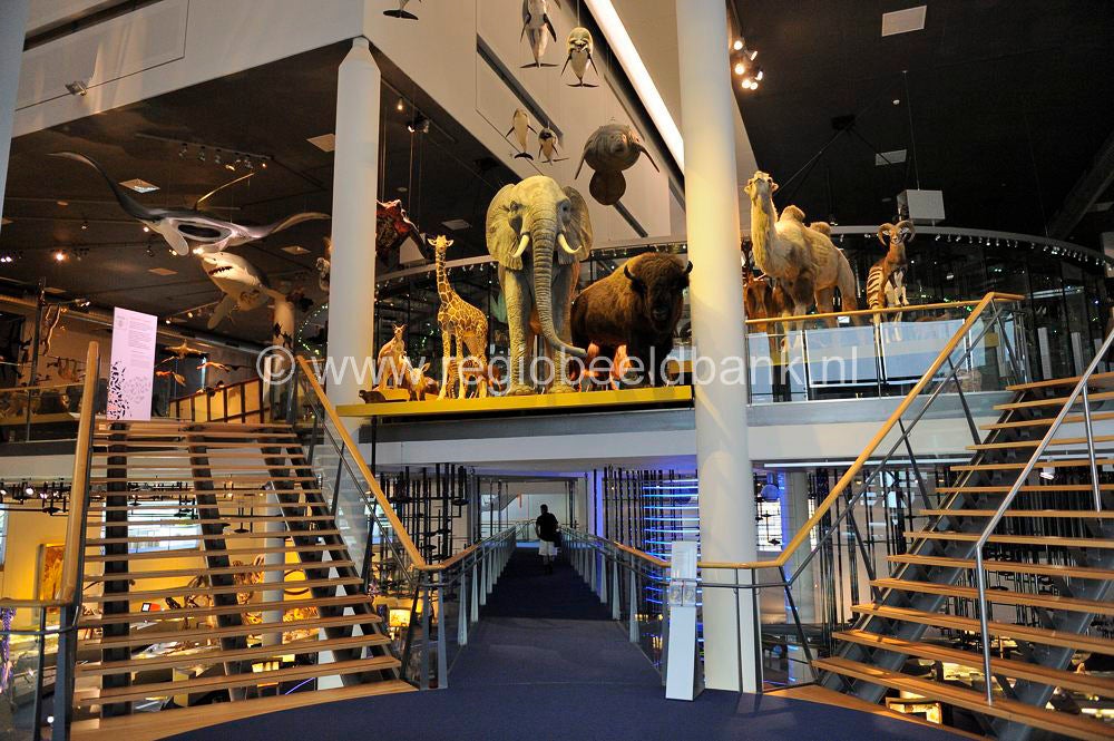 Naturalis Leiden