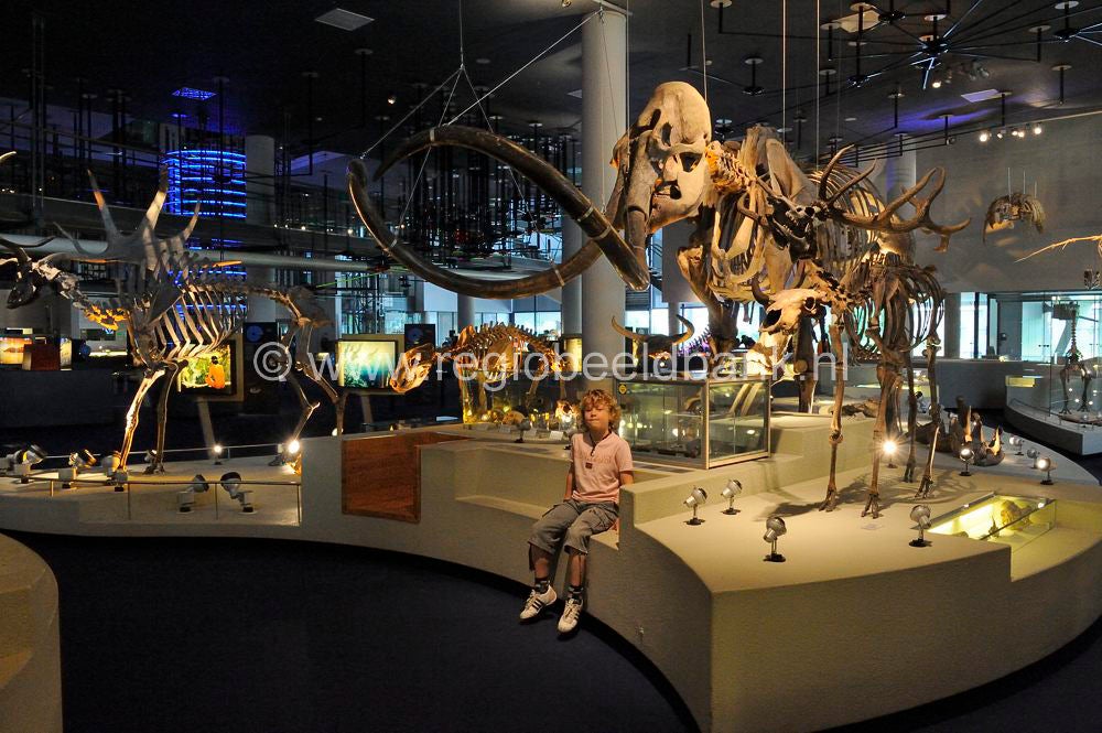 naturalis_leiden_022.jpg