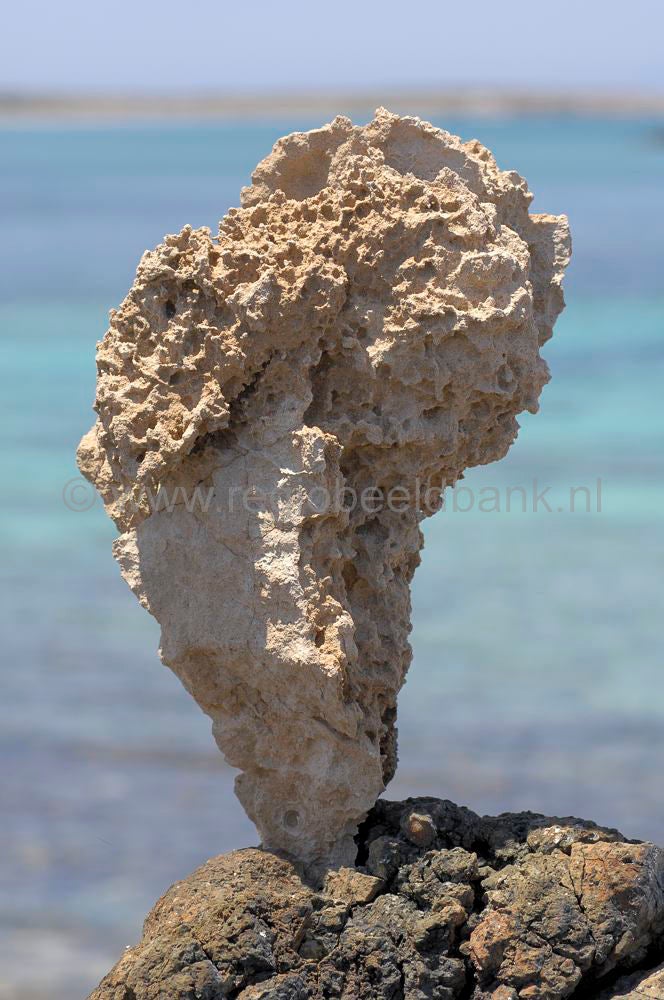 nature_art_004.jpg