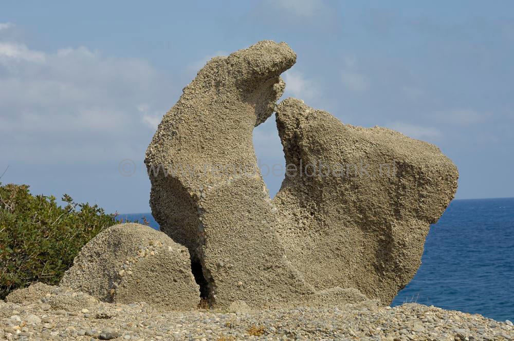 nature_art_007.jpg