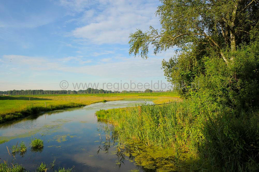 Nederwoutsebeek