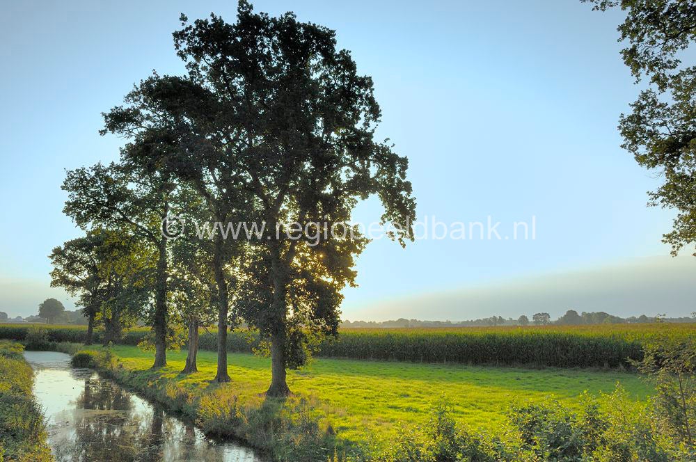 nederwoudsepad_007.jpg
