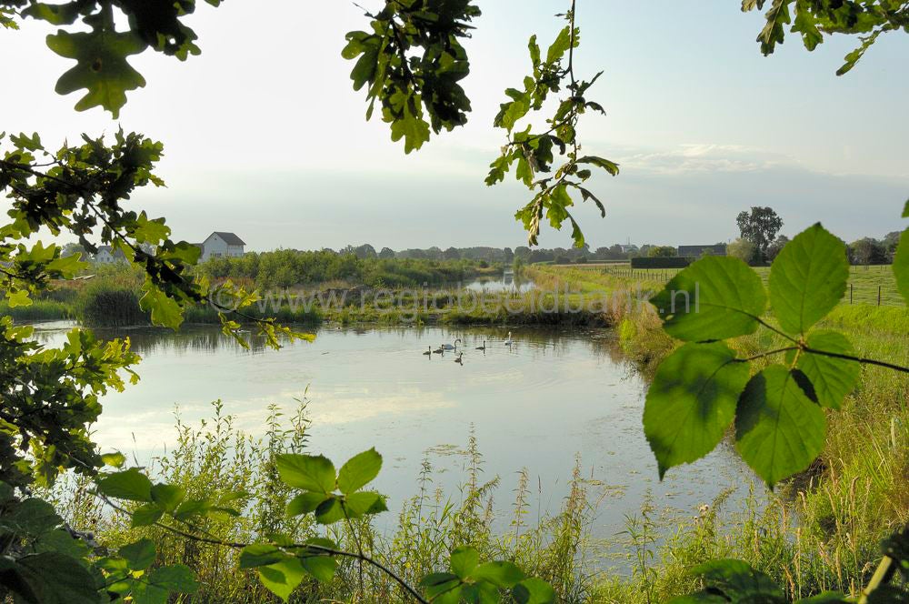 Landgoed Roodselaar