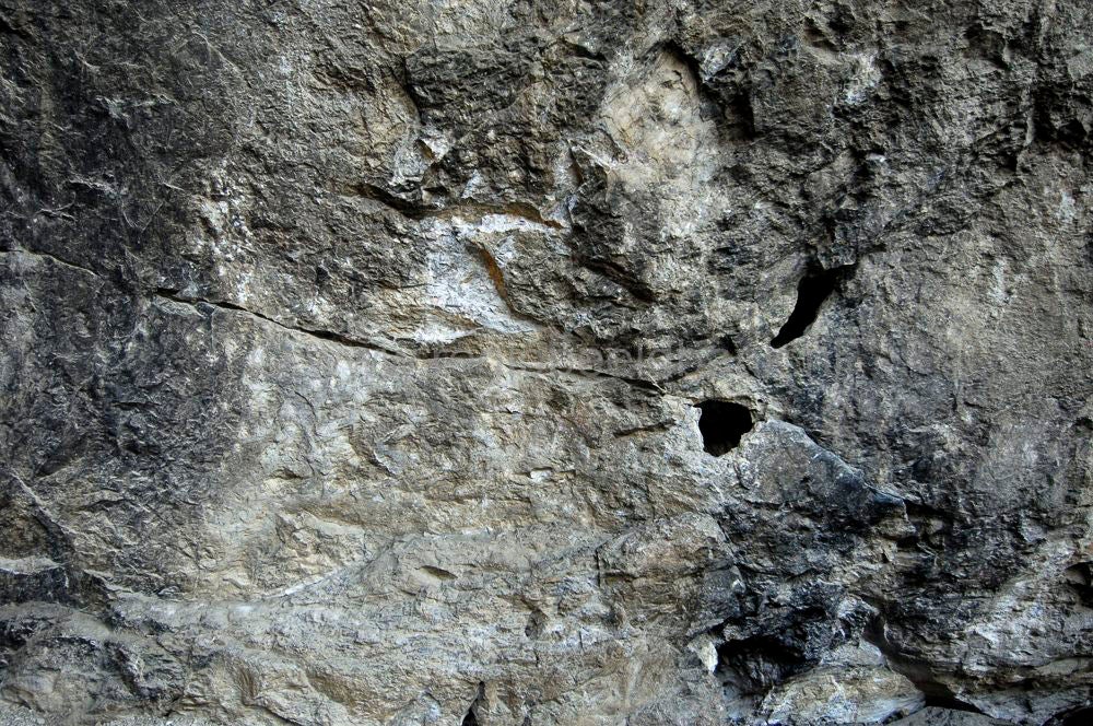 niauxcaves_france095.jpg