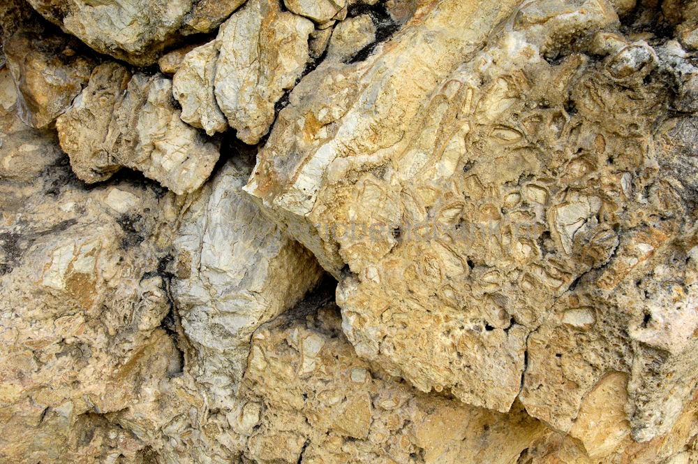 niauxcaves_france104.jpg