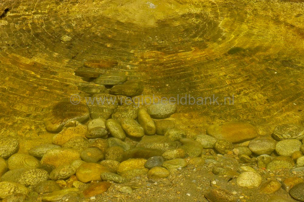 niauxcaves_france110.jpg