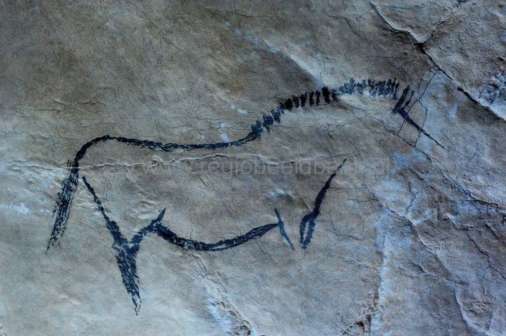 niauxcaves_france120.jpg