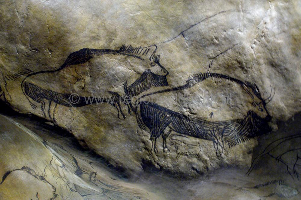 niauxcaves_france126.jpg