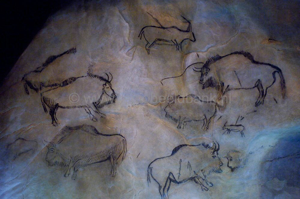 niauxcaves_france130.jpg