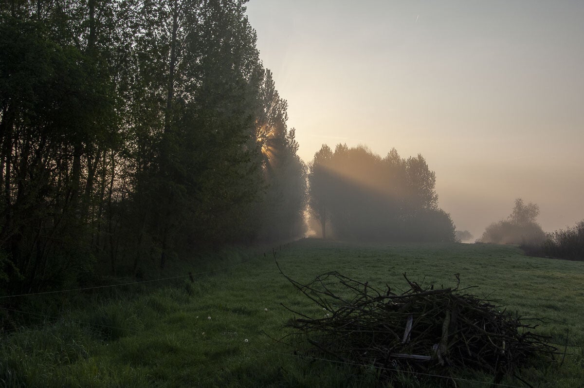 niebroekerpad_038.jpg
