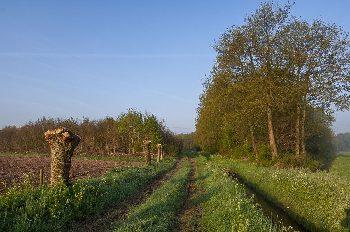 niebroekerpad_043.jpg