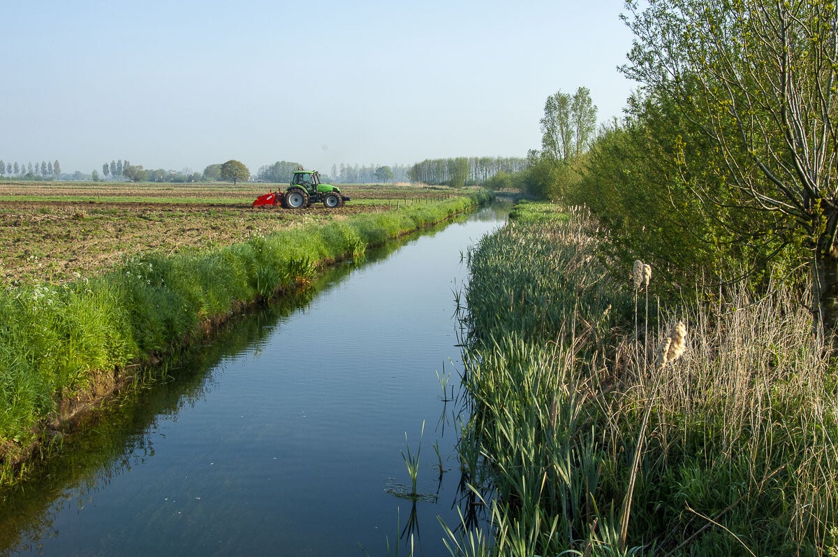 niebroekerpad_054.jpg