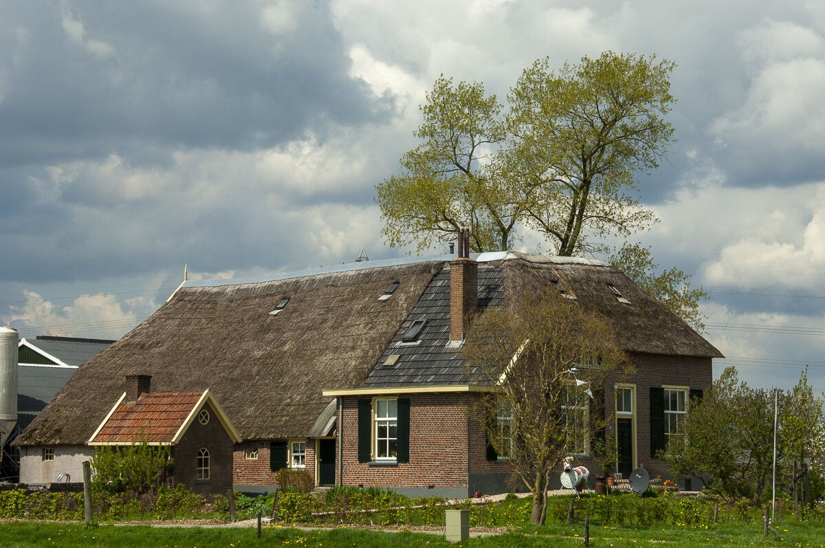 niebroekerpad_077.jpg
