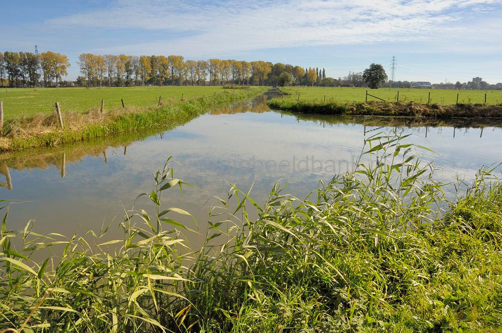 Nieuwe kanaal