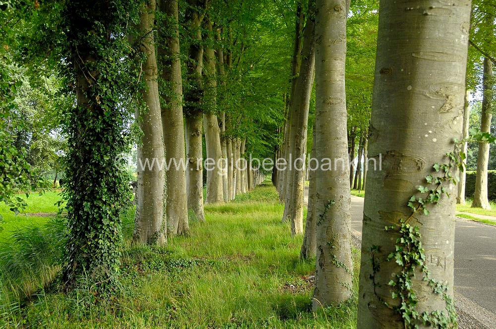 norderpad_020-1.jpg