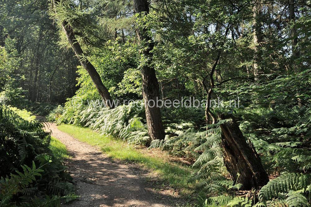 norderpad_030-1.jpg