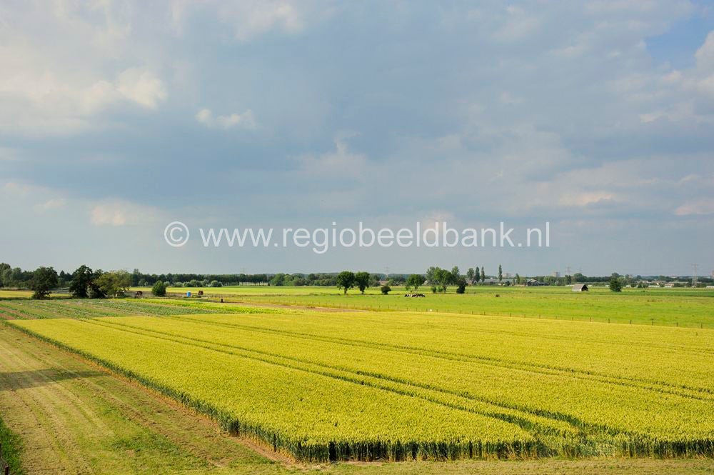 nudepad_004.jpg