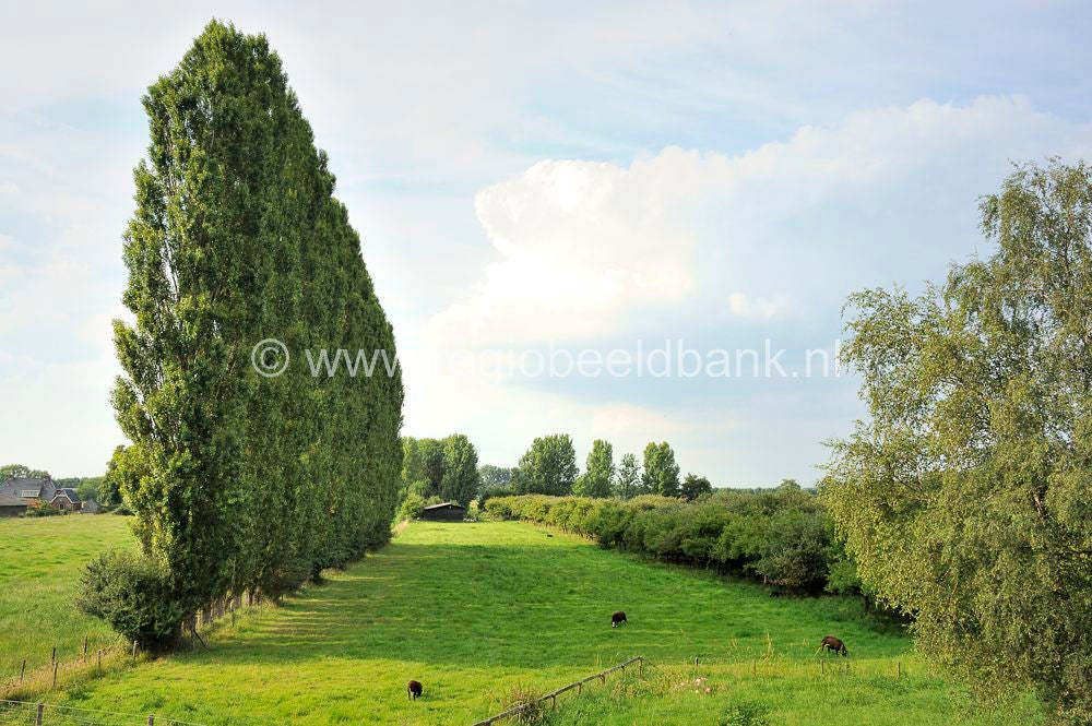 nudepad_006.jpg
