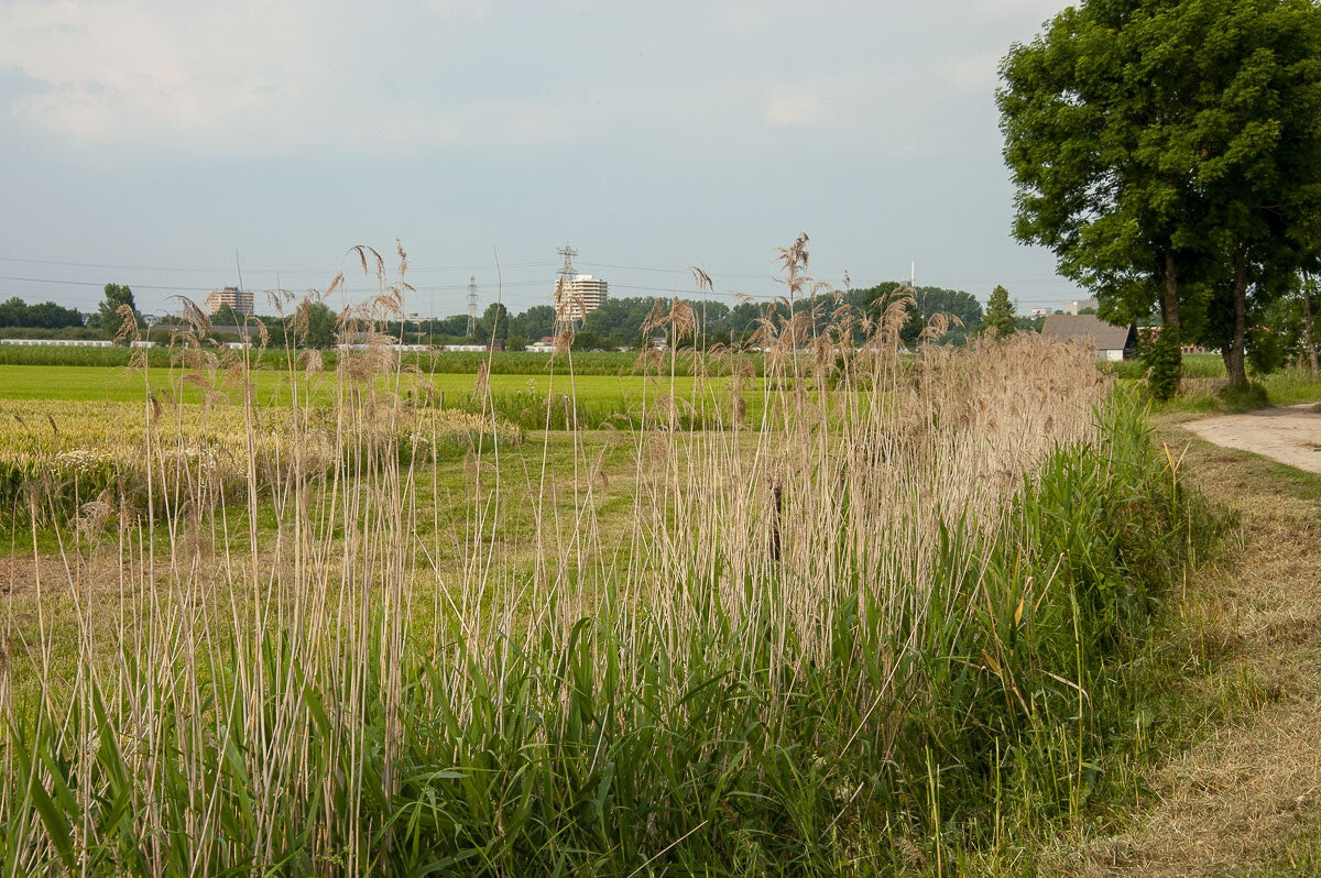 nudepad_016-1.jpg