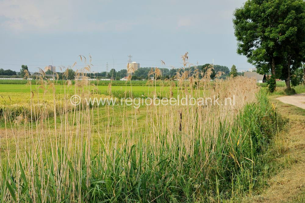 nudepad_016.jpg