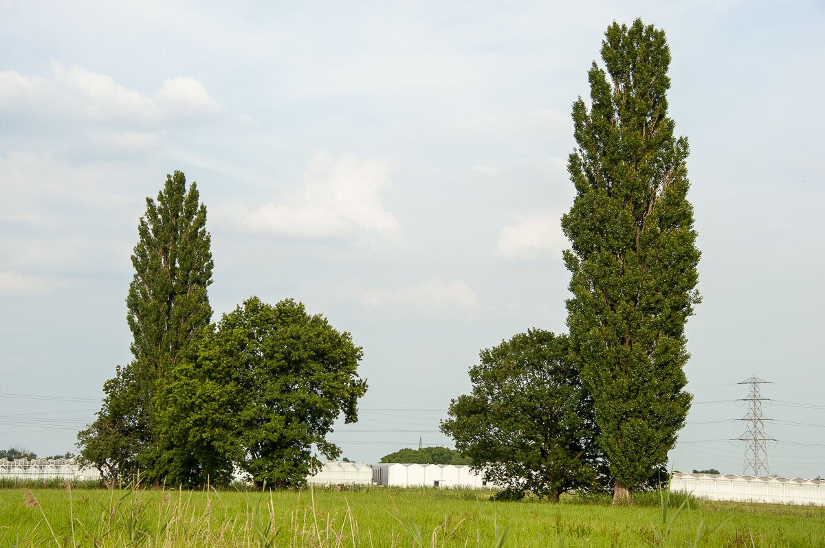 nudepad_020-1.jpg