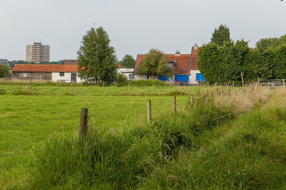 nudepad_038-1.jpg