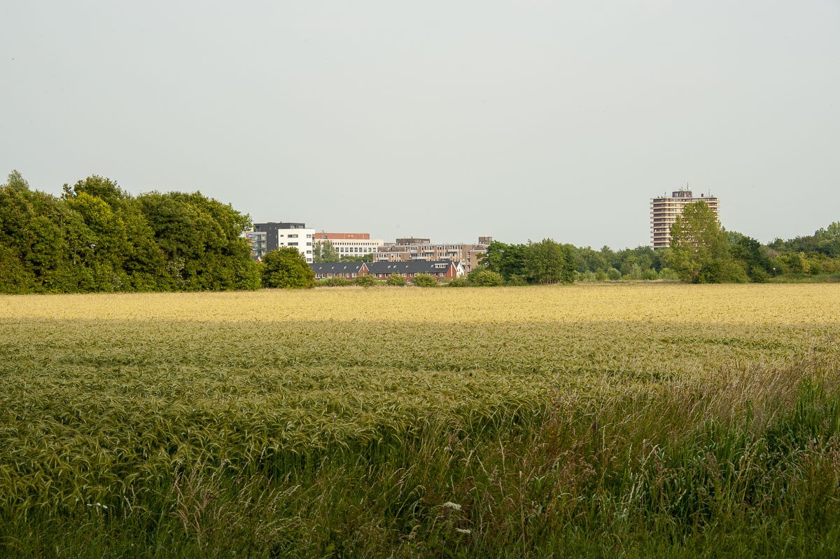 nudepad_050-1.jpg