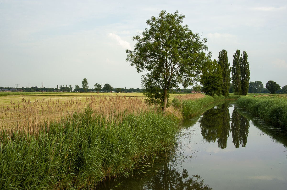 nudepad_066.jpg