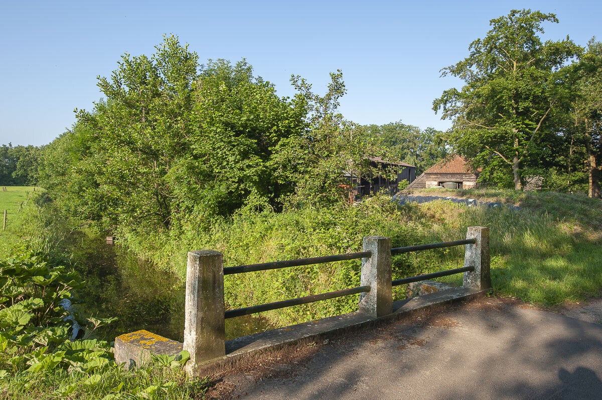 oldenallerpad_036.jpg