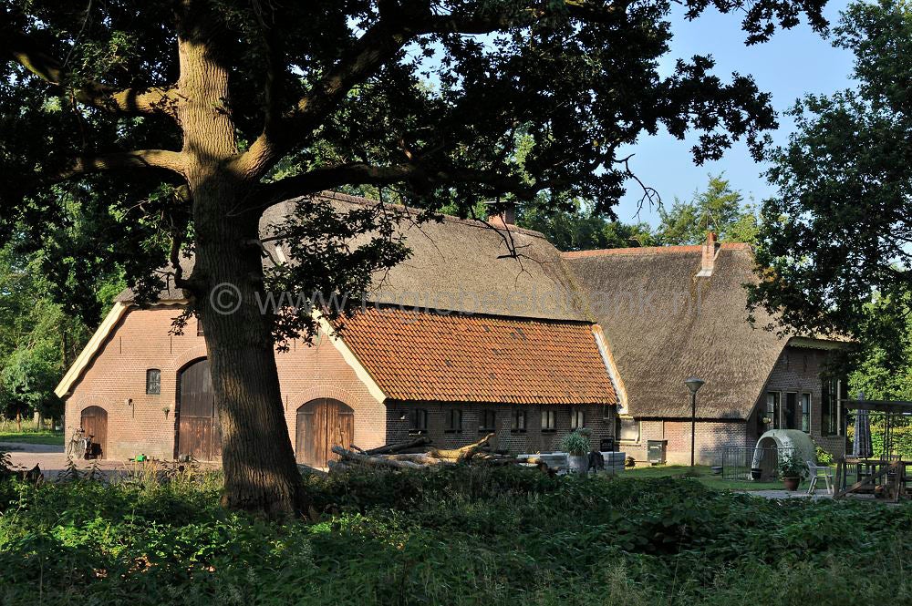 oldenallerpad_037.jpg
