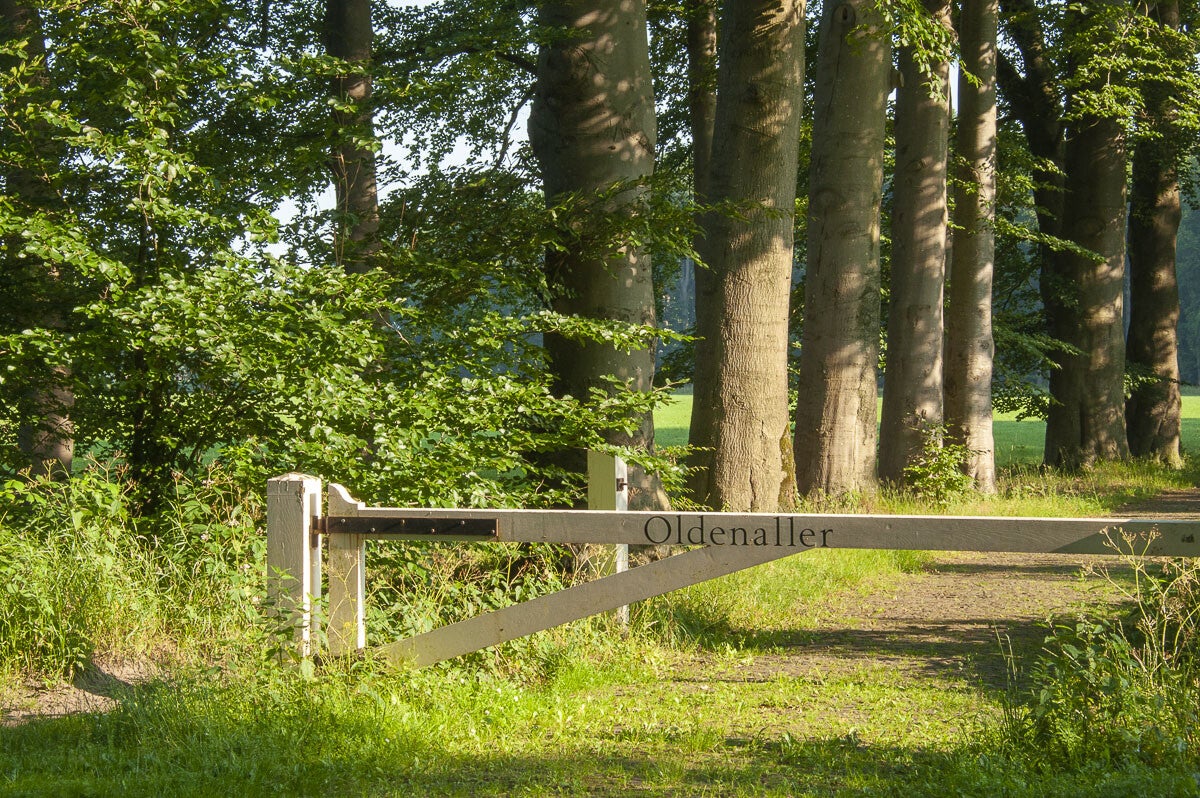 oldenallerpad_041.jpg