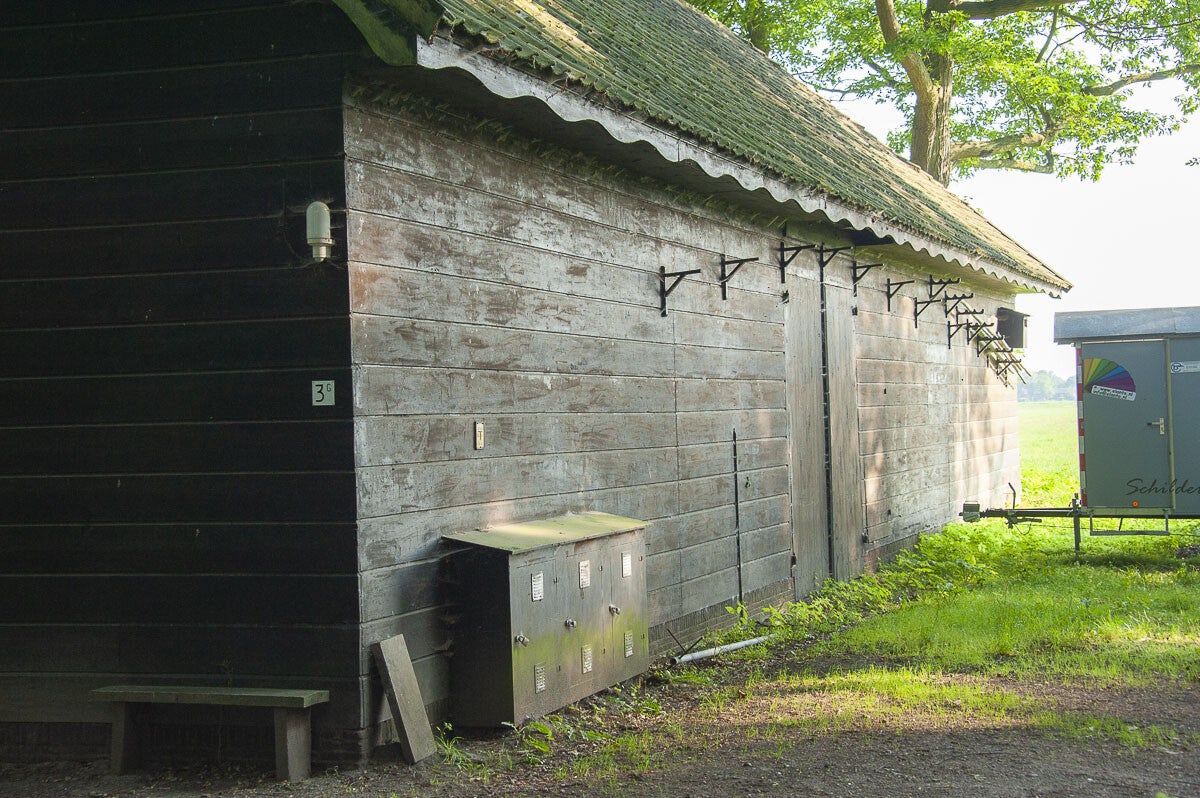 oldenallerpad_049.jpg