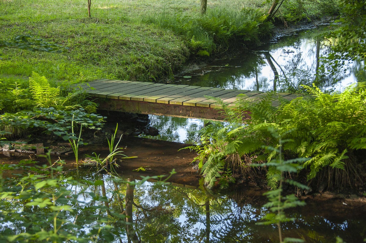 oldenallerpad_052-1.jpg