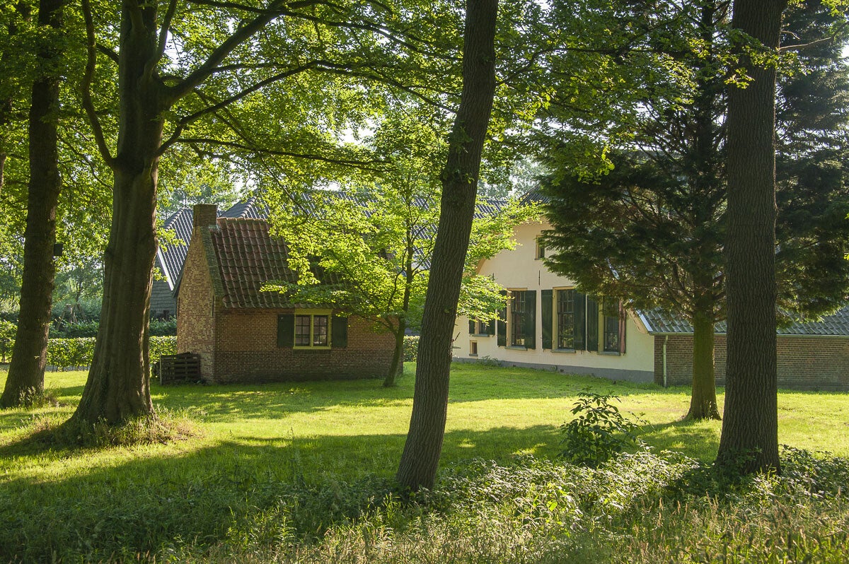 oldenallerpad_054.jpg