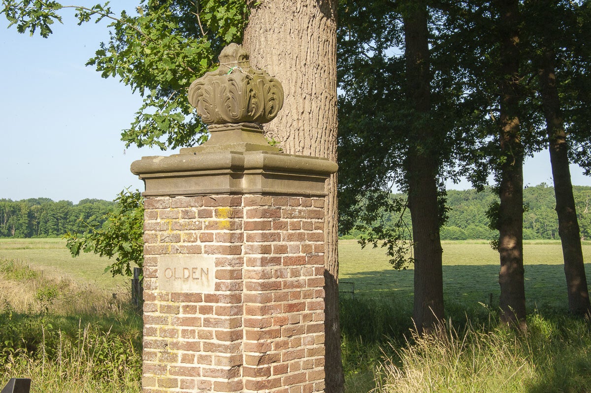 oldenallerpad_057.jpg
