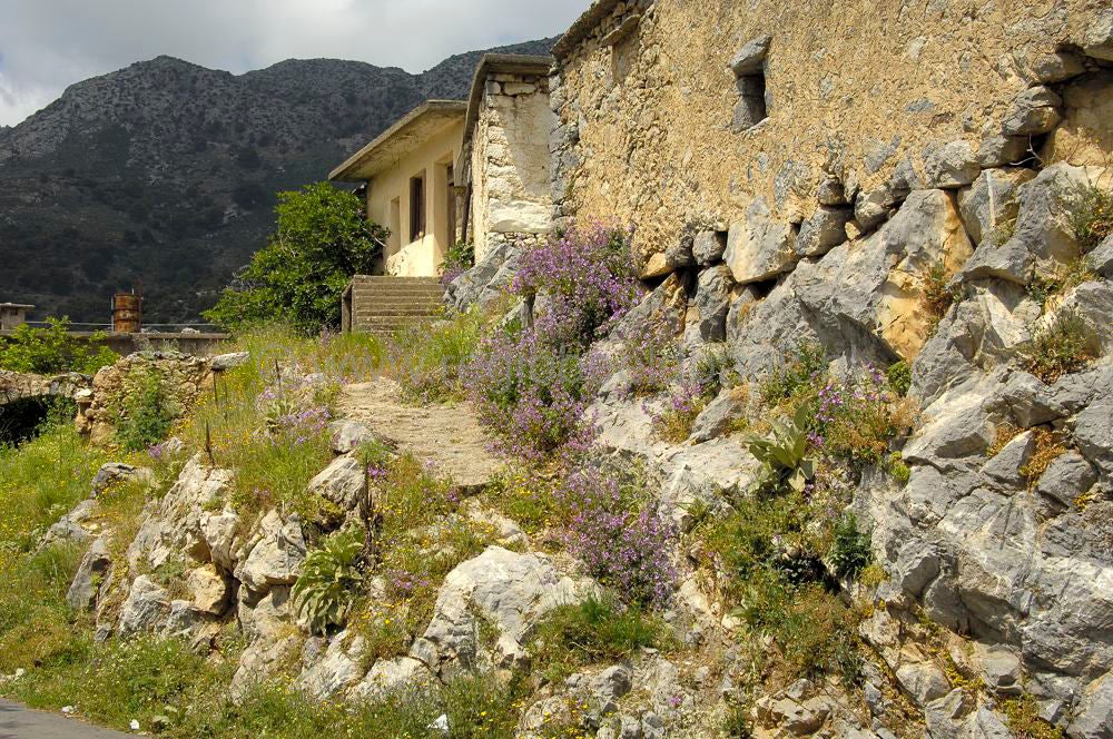 oropedio_lasithiou_kreta_0791.jpg