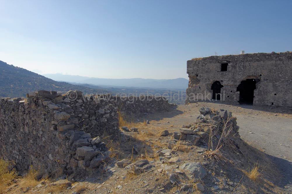 oroskedros_kreta_0818.jpg