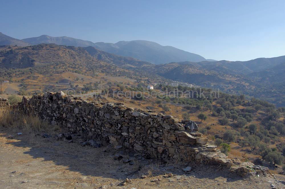 oroskedros_kreta_0820.jpg