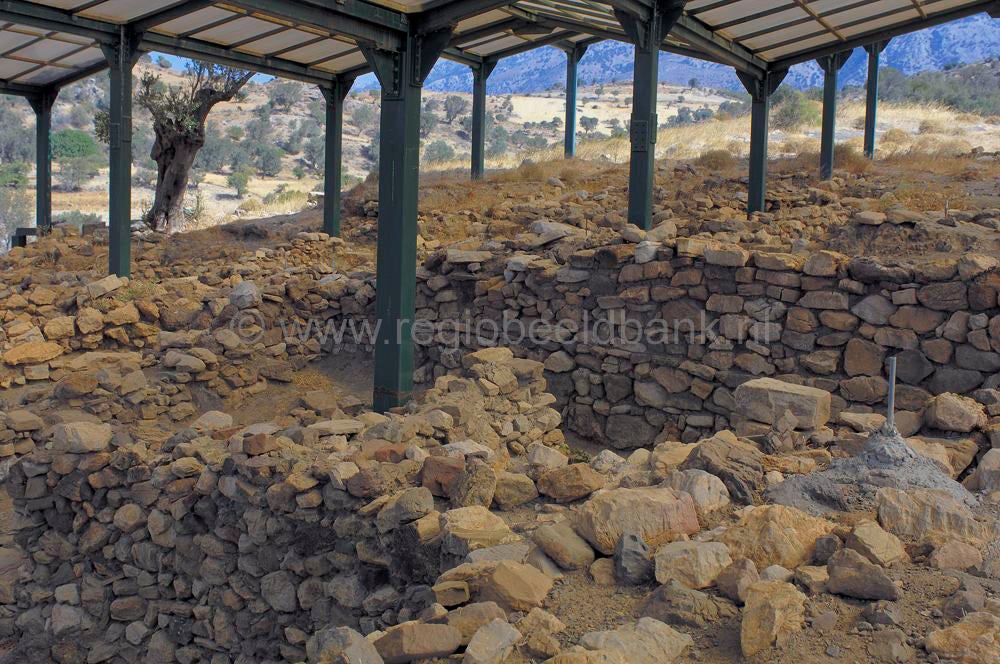 oroskedros_kreta_0831.jpg