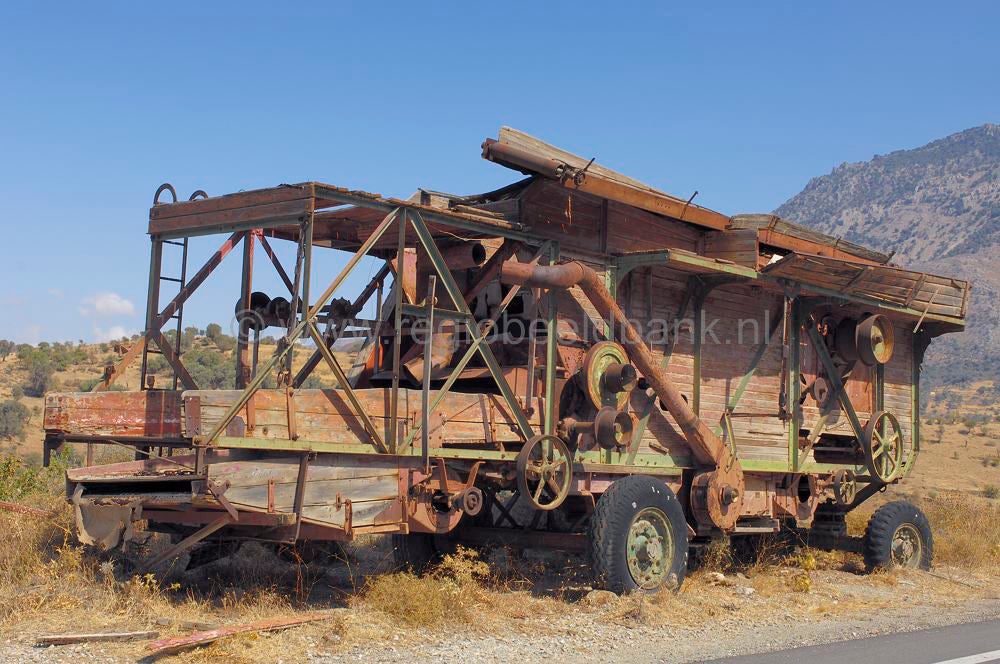 oroskedros_kreta_0833.jpg