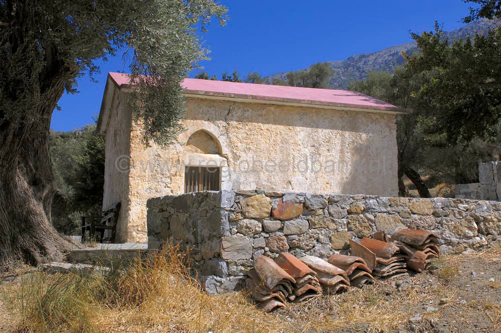 oroskedros_kreta_0838.jpg