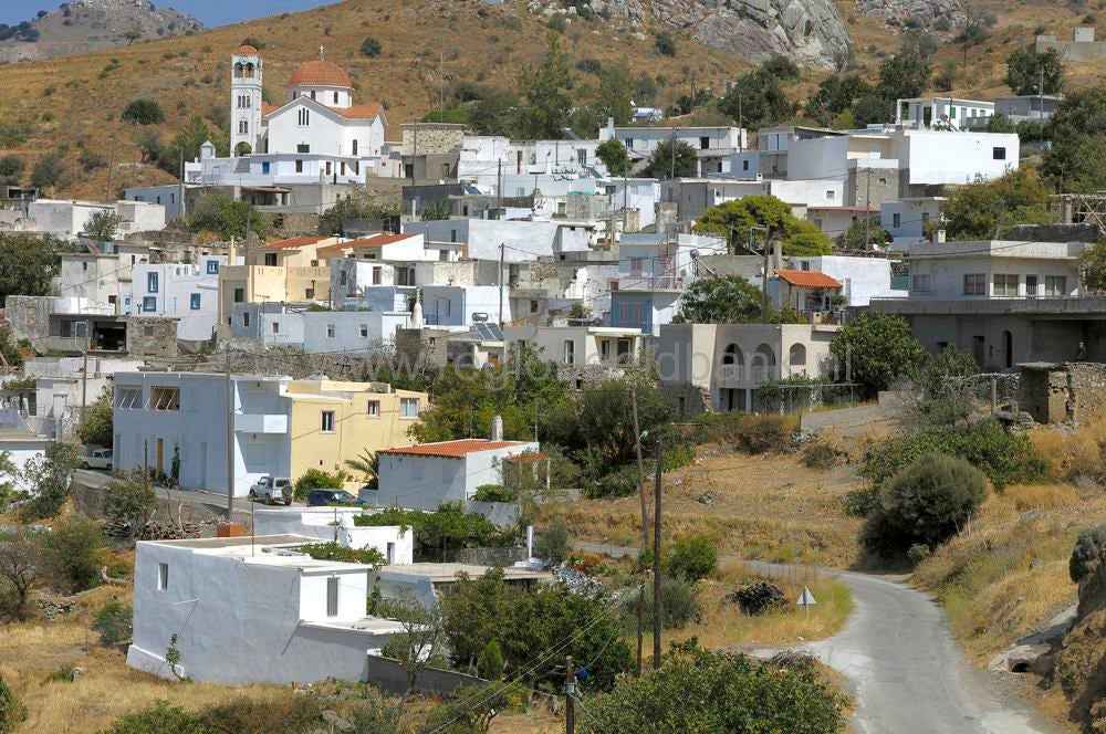 oroskedros_kreta_0848.jpg