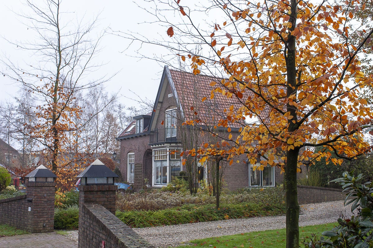 oudenhorsterpad_005-1.jpg
