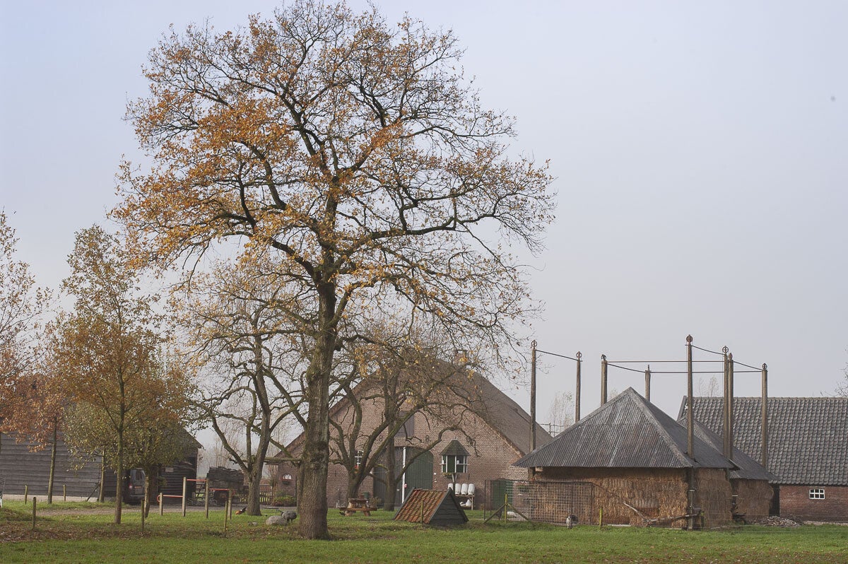 oudenhorsterpad_017-1.jpg