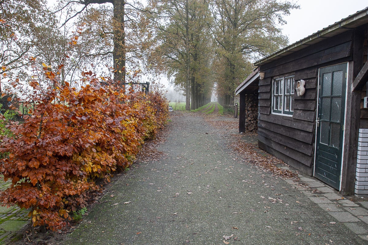 oudenhorsterpad_034-1.jpg