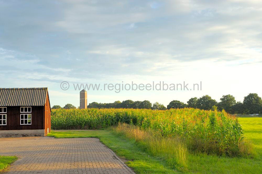 oudenhorsterpad_035.jpg