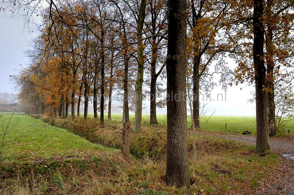oudenhorsterpad_037.jpg