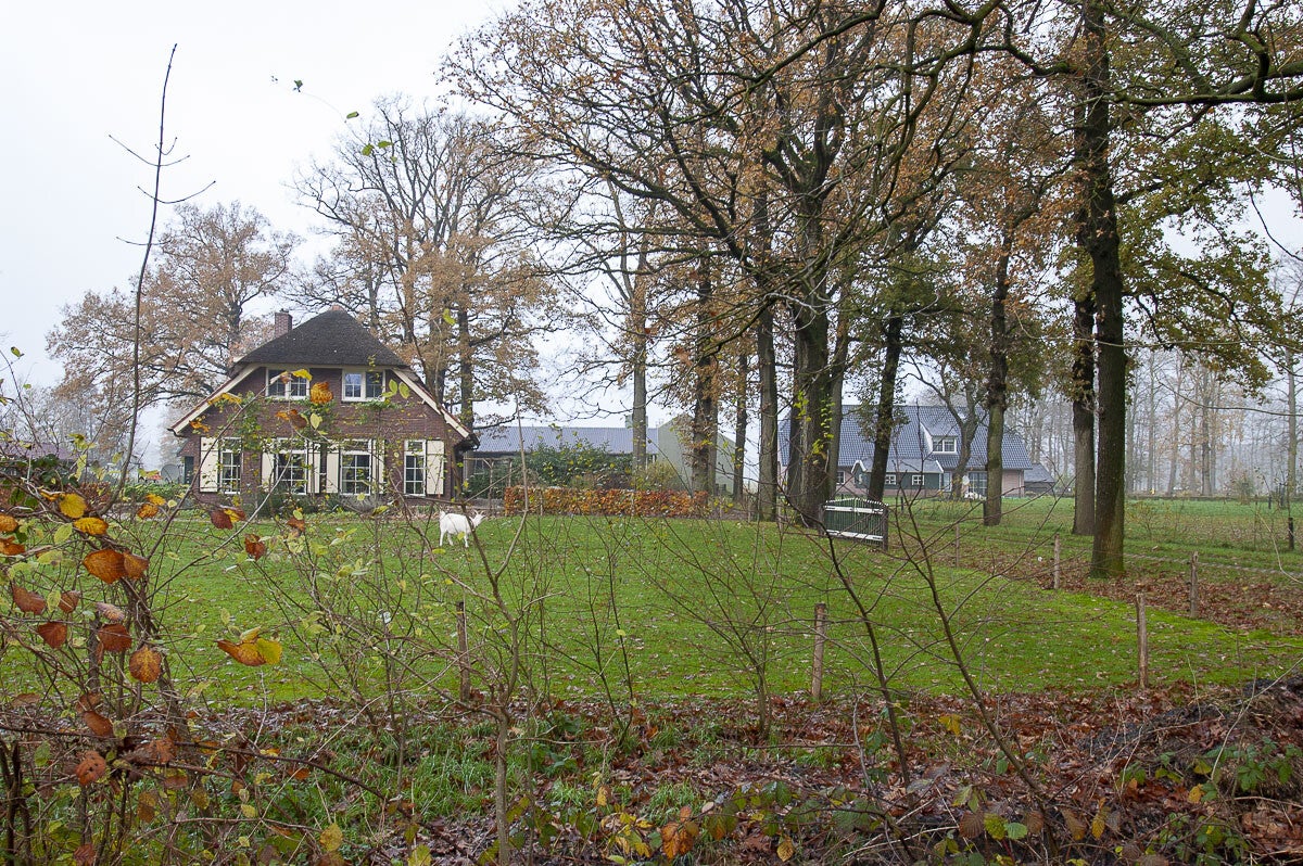 oudenhorsterpad_039-1.jpg