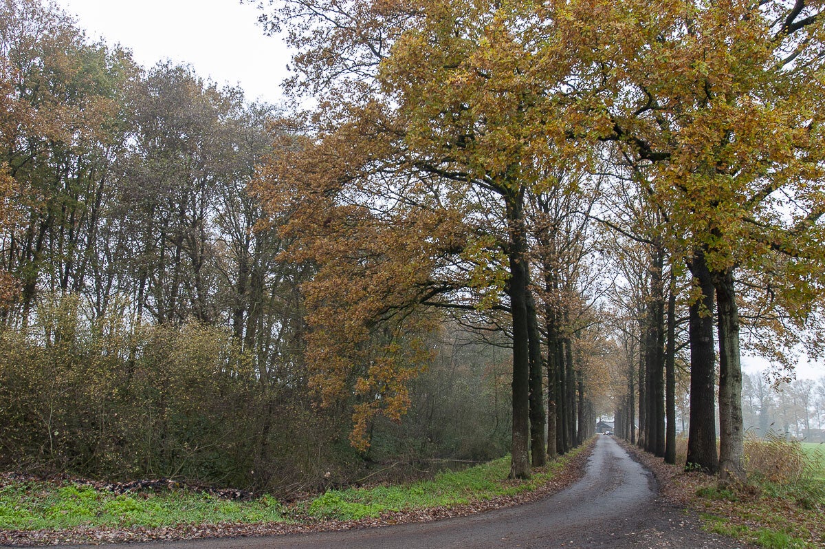 oudenhorsterpad_042-1.jpg